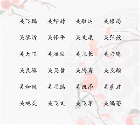 吳 取名|姓吴男孩名字大全